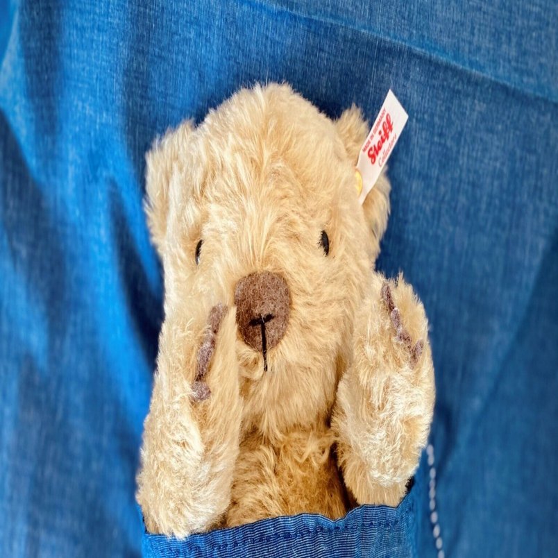 シュタイフ　くまの子ウーフ　ぬいぐるみ くまの子ウーフ」とともに、物語をめぐる小さな旅へ。――シュタイフ製の