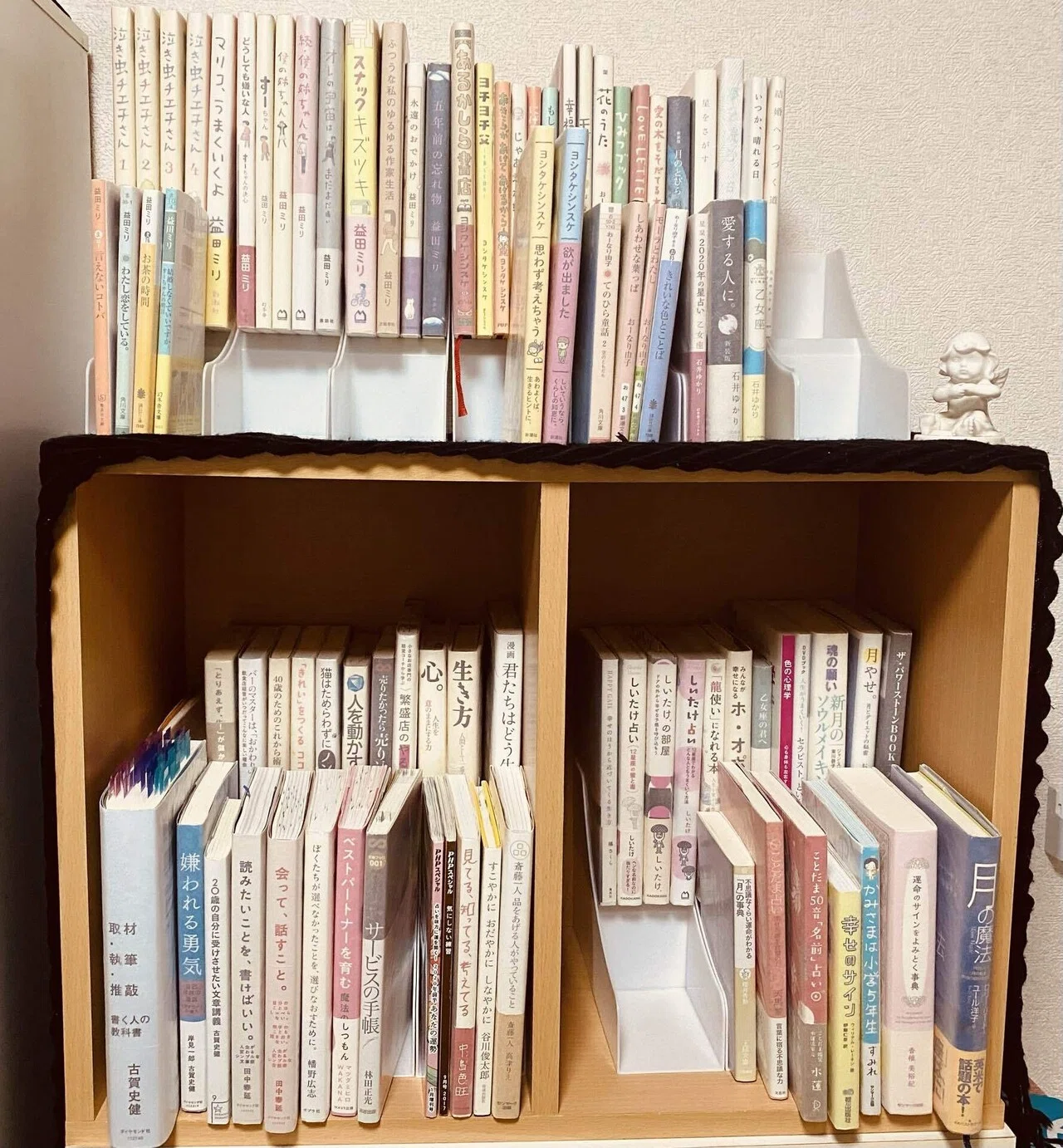 わたしの本棚｜菜穂☽︎‪︎.*·̩͙‬