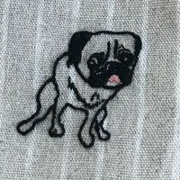 コーラを飲んだらゲップが出るっていうくらい確実じゃッ ケンスケ コバヤシ パグ ピース Note