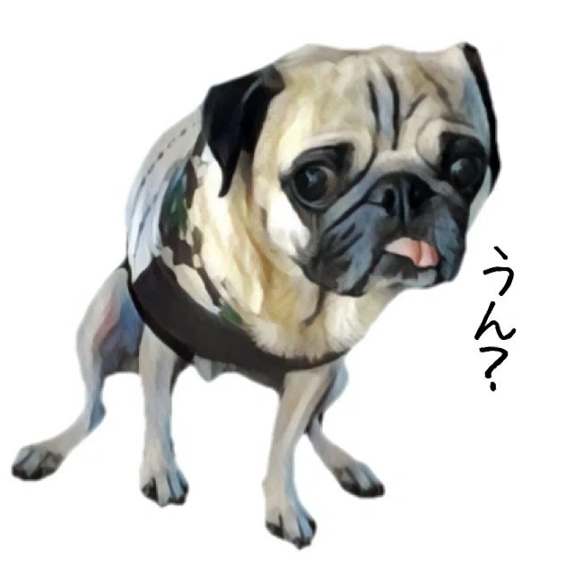 As I am, as I please, the pug will never hurt only you｜パグ