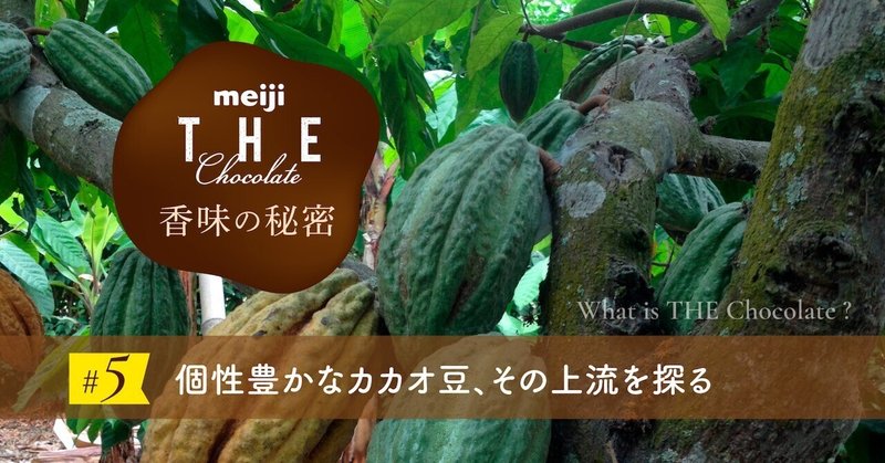 個性豊かなカカオ豆、その上流を探る──meiji THE Chocolateの香味の秘密 #5 