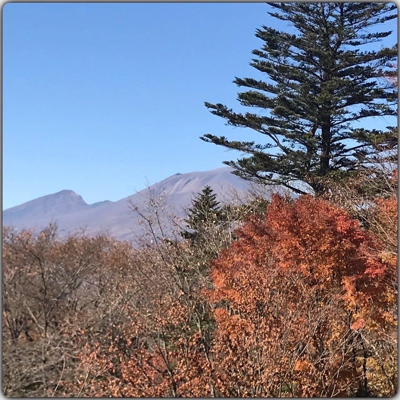 軽井沢と浅間山｜rascal