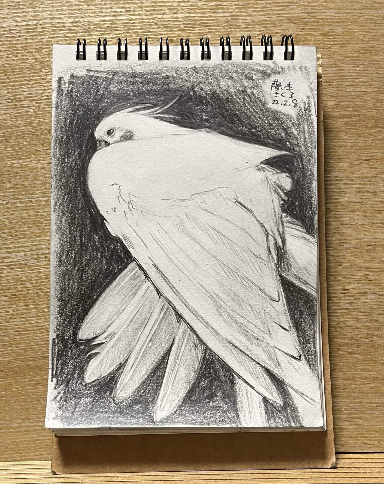 カラーが描きたくなったので、サクラ クレパス買ってみた。｜藤本さくら