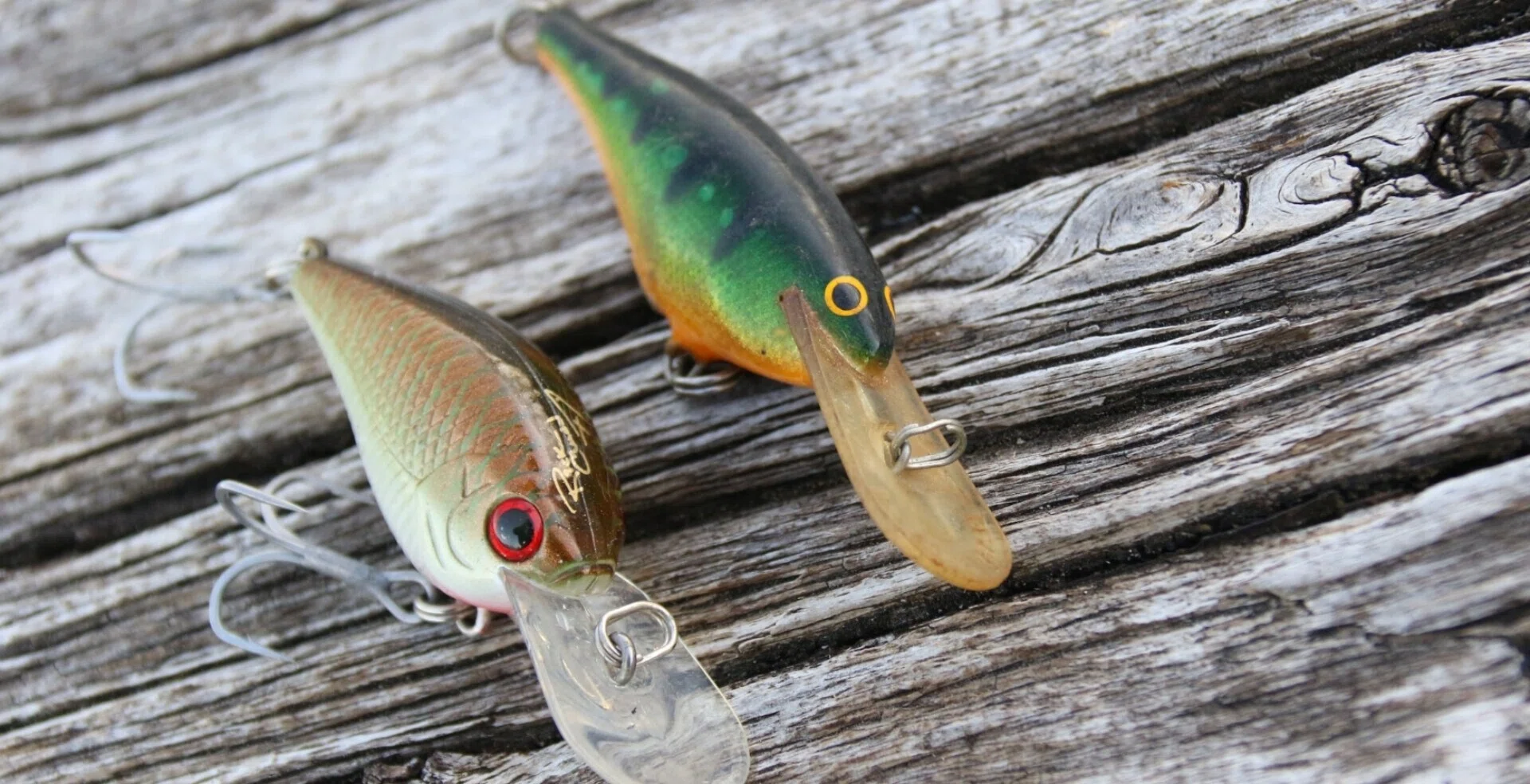 THE HARDBAIT #008 「コールドウォータークランキングと“浮力”の調節