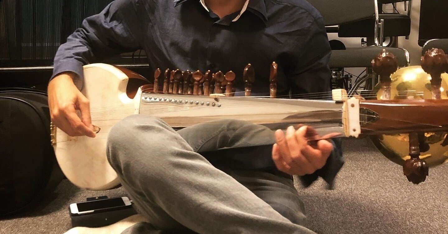 最新作，人気 追記あり 激レア 最高品質 インド楽器 サロード HEMEN&Co製