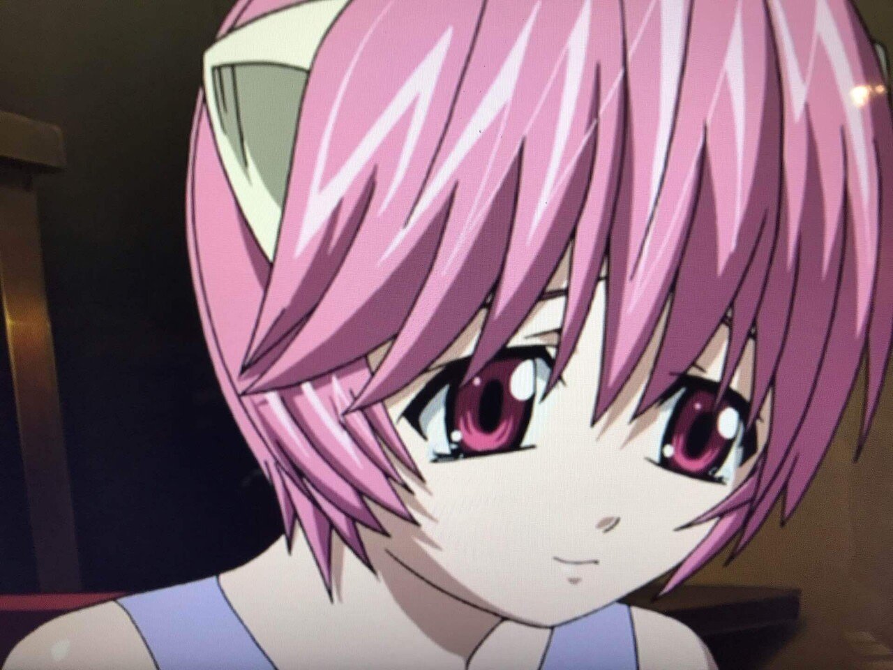 ナナ「素敵なことがいっぱいあるのに…こんなに、いっぱい…」 エルフェンリート 第13話/不還 より引用 ―― そう、自分のために泣いてくれる