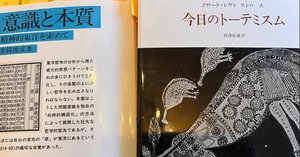 意味分節理論とは（9） 人間たちにとって意味ある世界を発生