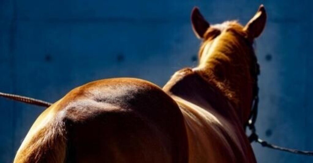 ダート馬 の新着タグ記事一覧 Note つくる つながる とどける ダート馬 の新着タグ記事一覧 Note つくる つながる とどける