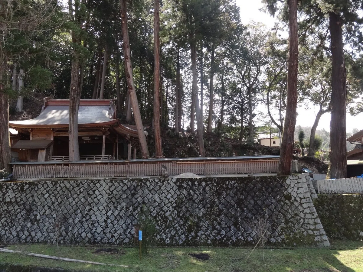 画像4