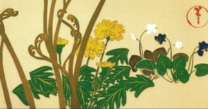 絵はがき〈十二ヶ月草花図 春草〉神坂雪佳 NA-80京都便利堂オンライン