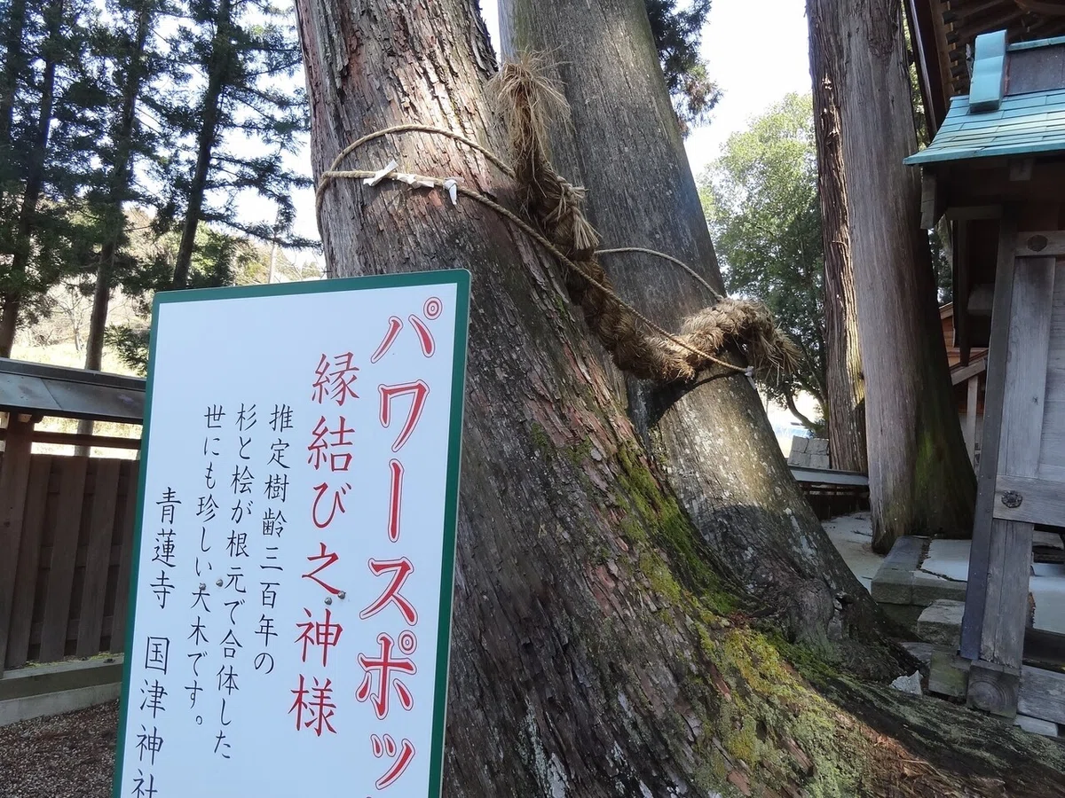 画像5