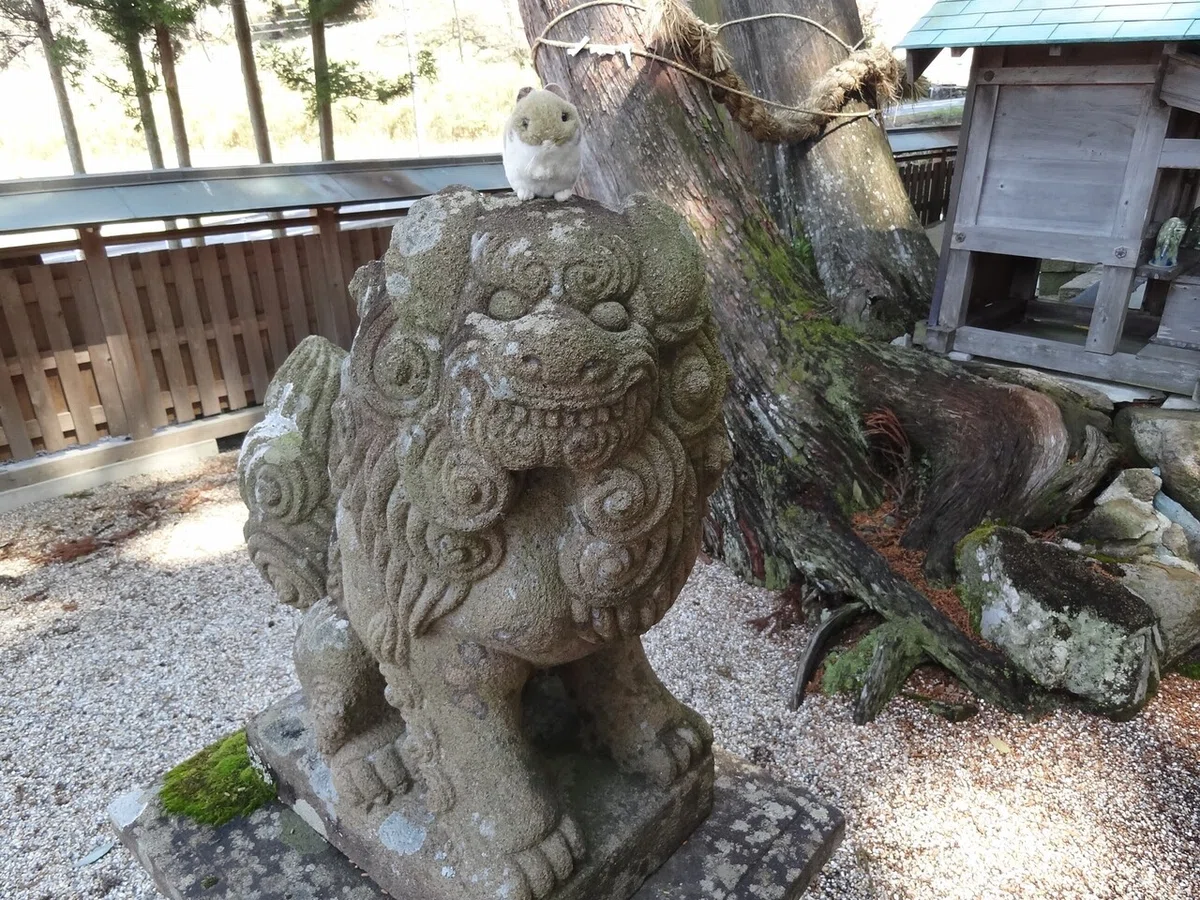 画像6