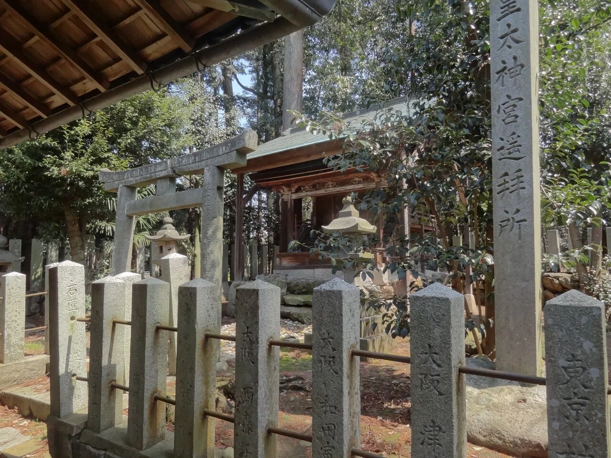 画像7