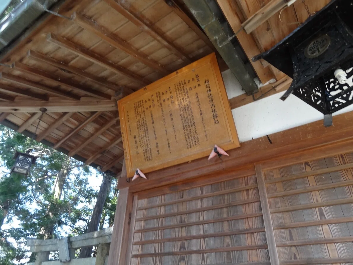 画像16