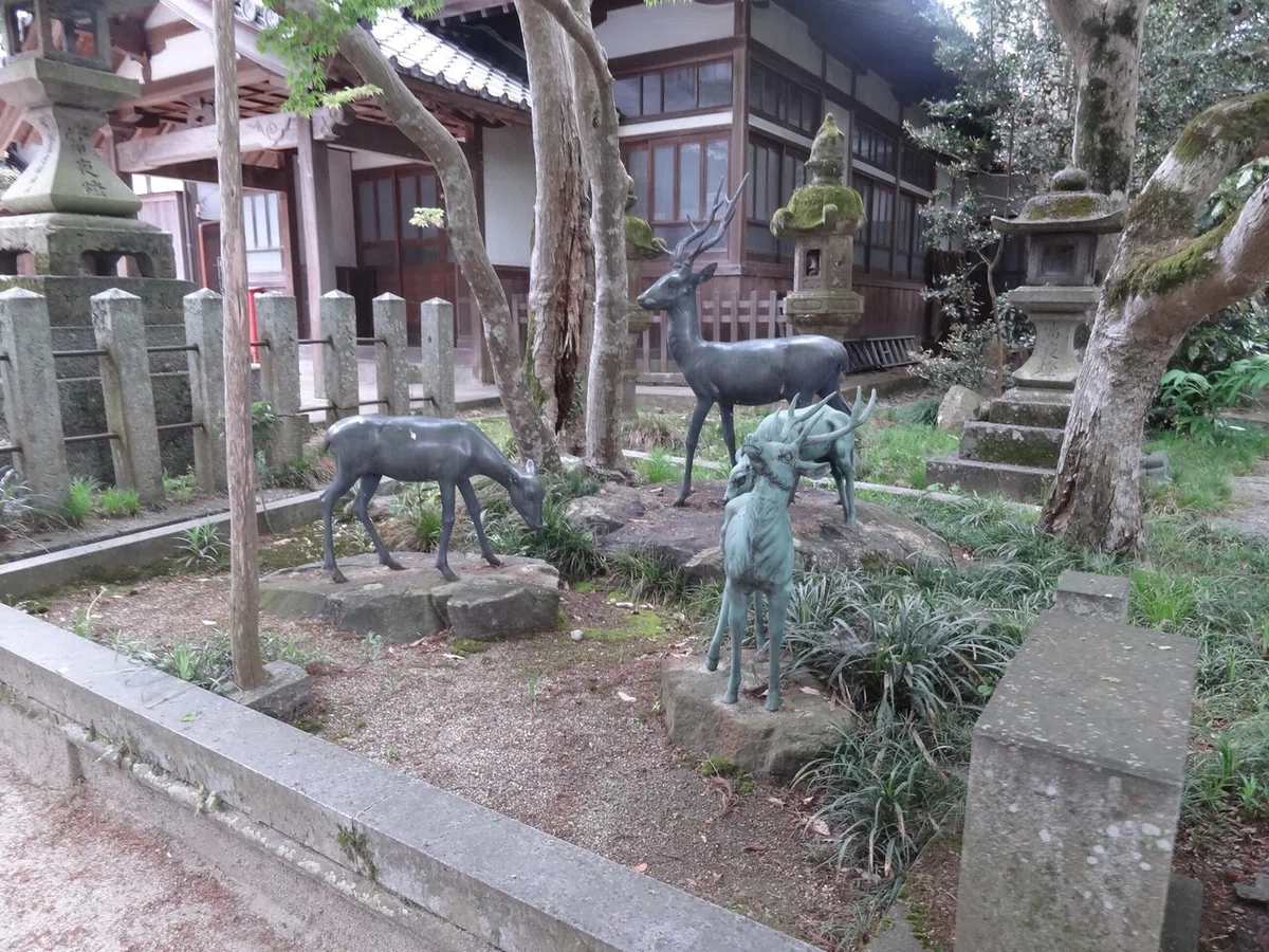画像18