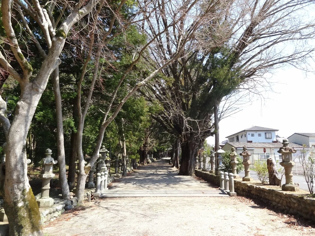 画像3