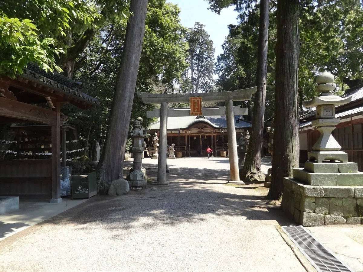 画像6