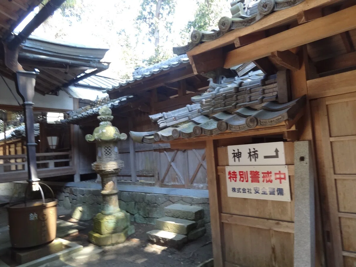 画像7