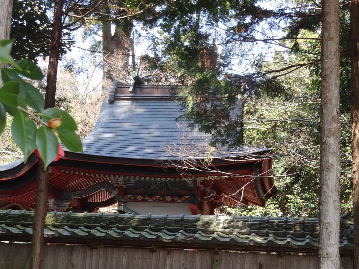 画像8