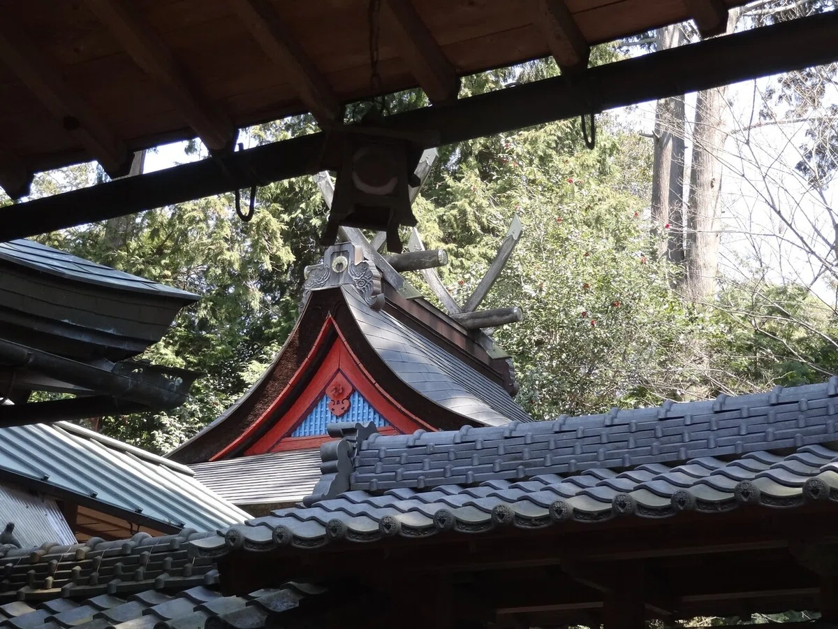 画像9