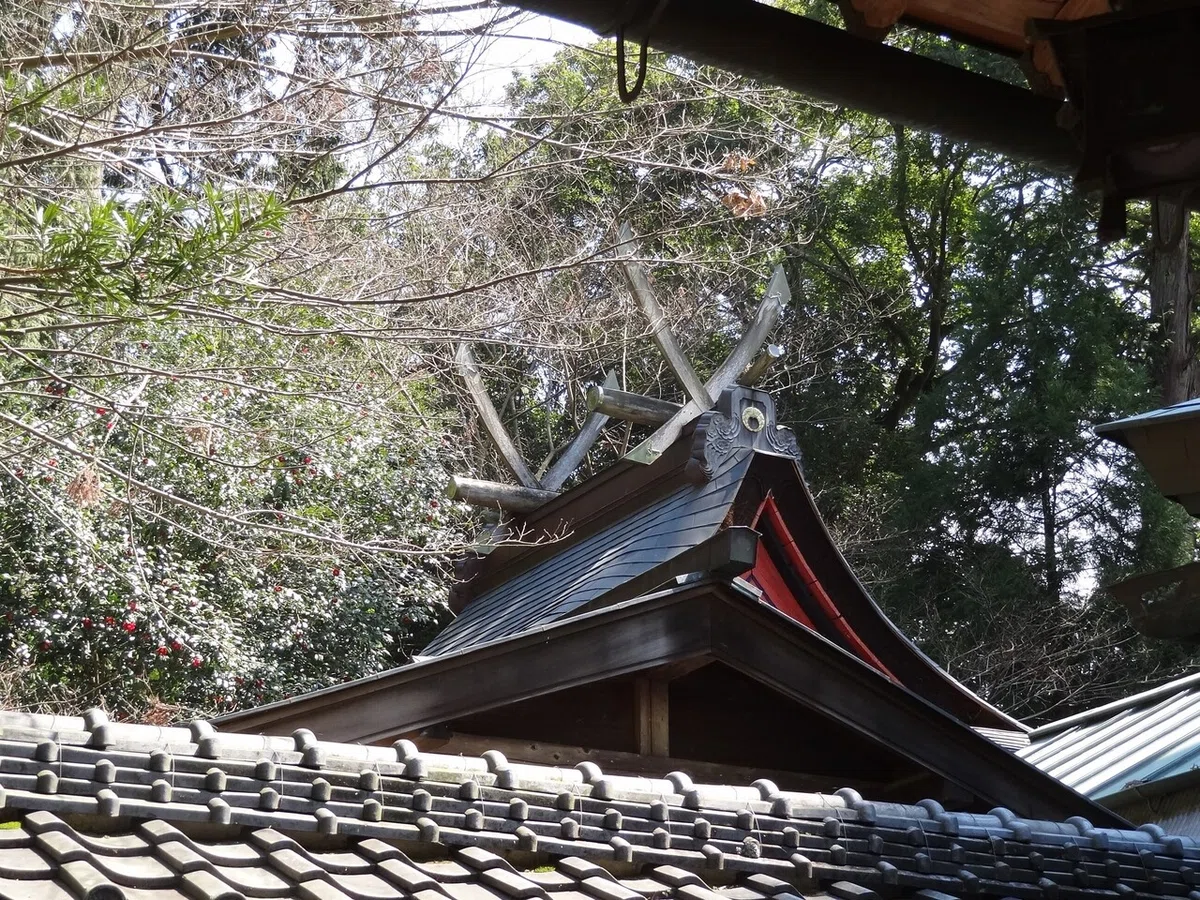 画像10