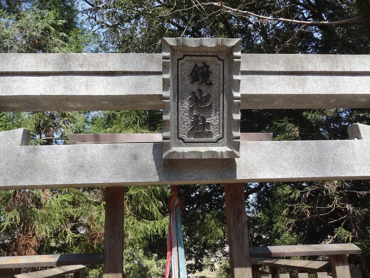 画像14