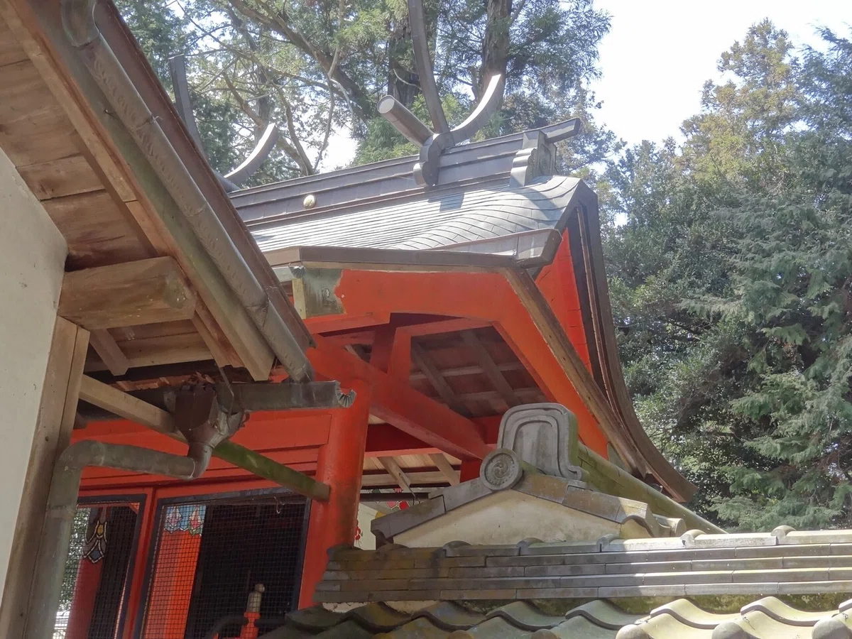 画像4