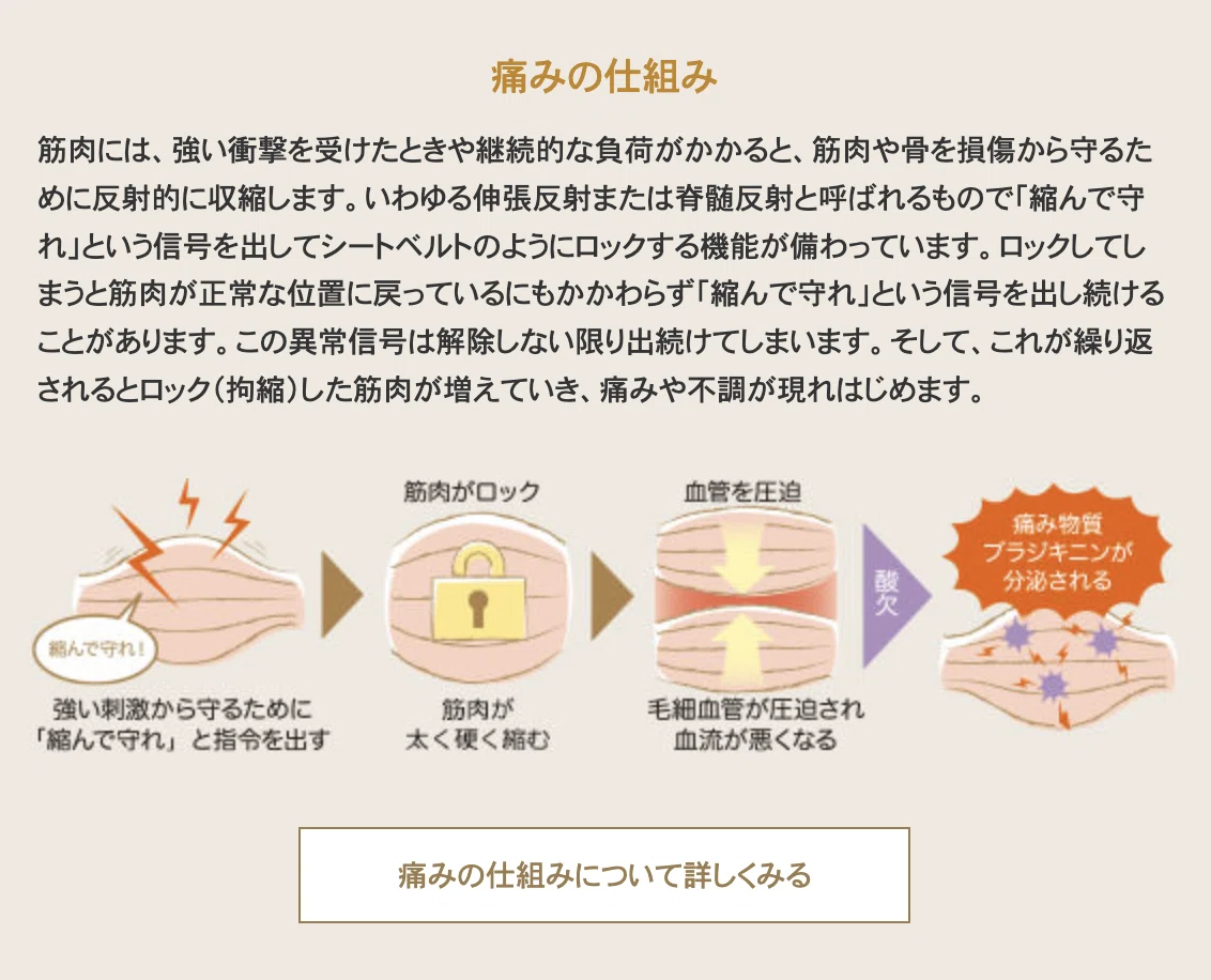 スクリーンショット 2022-02-10 21.35.46