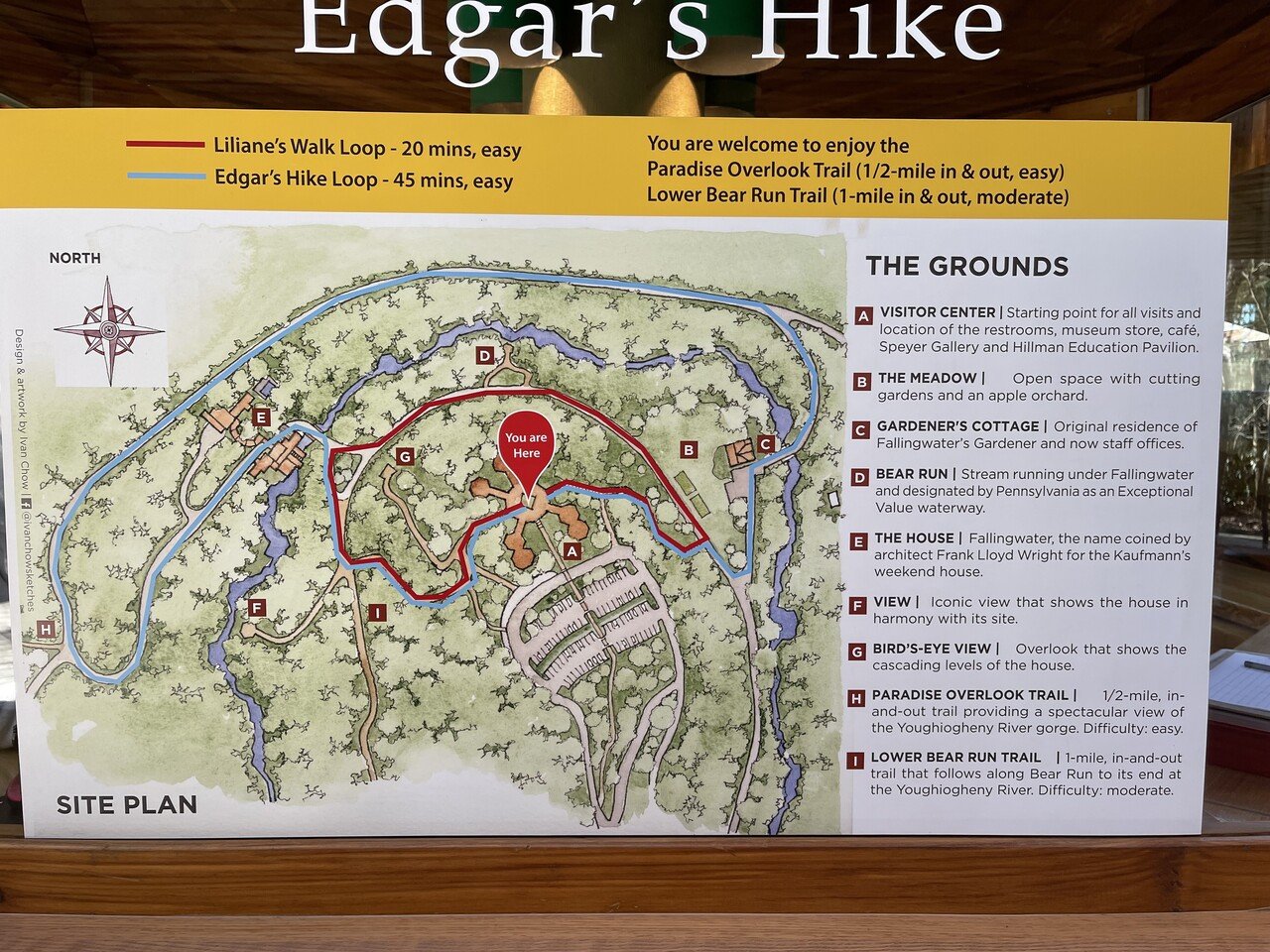 ペンシルバニア州をめぐる旅④ ～フランクロドライトの落水荘｜Suttoco