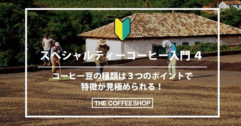 〈スペシャルティコーヒー入門 4〉コーヒー豆の種類は3つのポイントで特徴が見極められる！