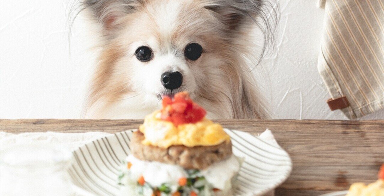 好きなもの全部のせ オムライス ハンバーグプレート 月額限定 手作り犬ごはんレシピ いちかわあやこ 犬ごはん先生 Note