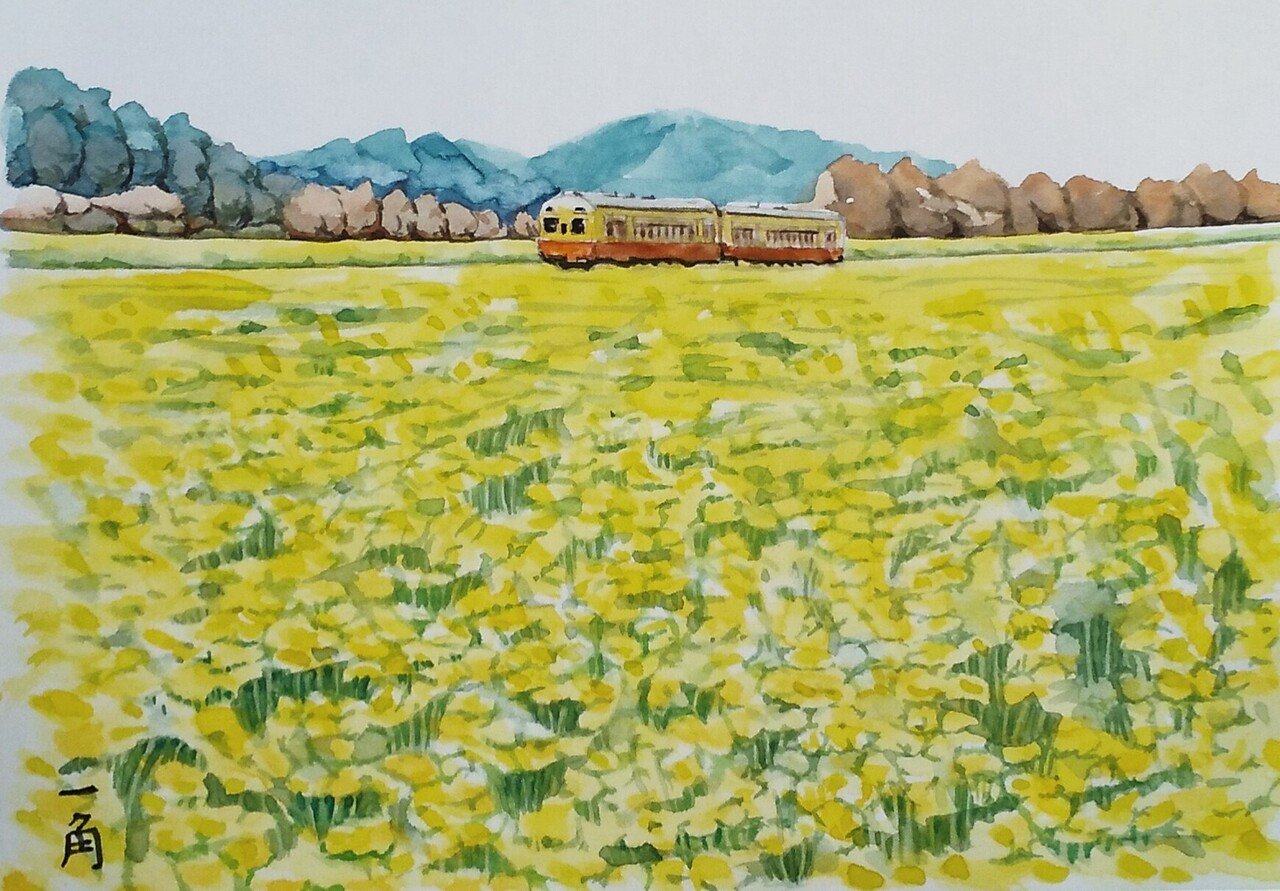 菜の花畑を行く小湊鉄道|角@京都 菜の花畑を行く小湊鉄道|角@京都