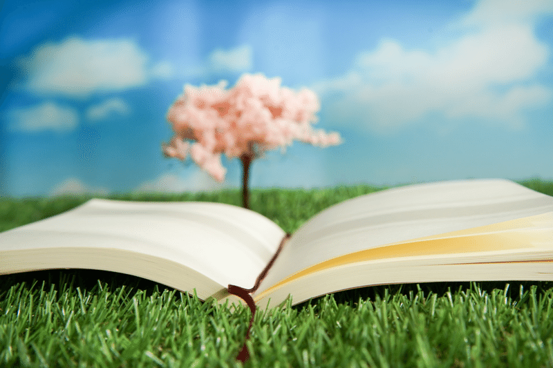 本と桜の木