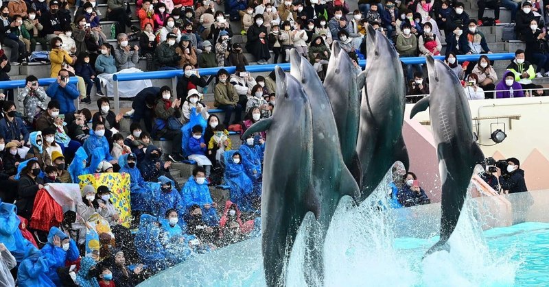 新しい「主役」はシャチ!？　リニューアルされる神戸・須磨海浜水族園