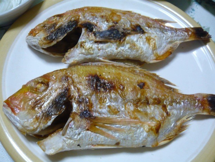今日の晩御飯は蓮子鯛の塩焼き！