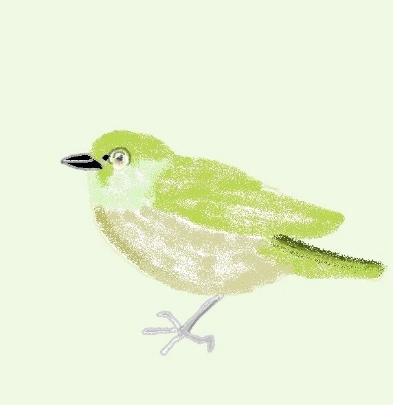 つるのメジロ