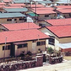 木造建築を動員せよ！｜〈創造的代用〉としての新興木構造｜竹内