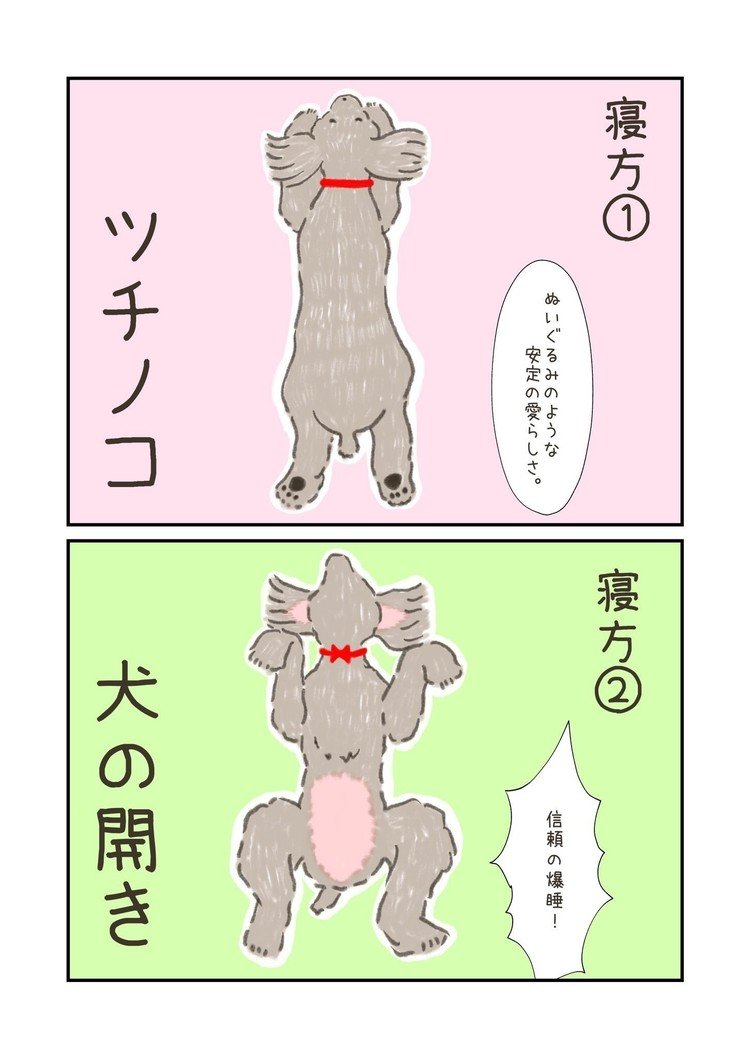 犬の開きちゃんは自信がある証。…「可愛い」って聞こえると直ぐに振り向くもんね。