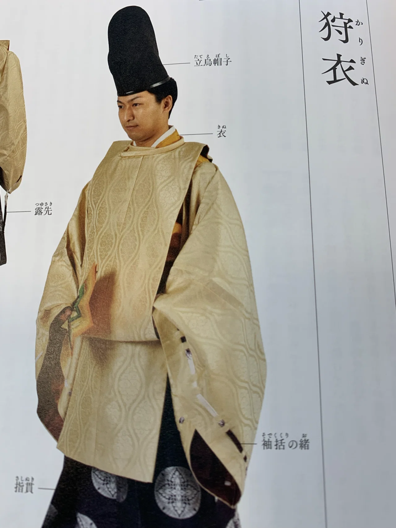 鎌倉殿の13人』とあの紐のこと｜はんだあゆみ