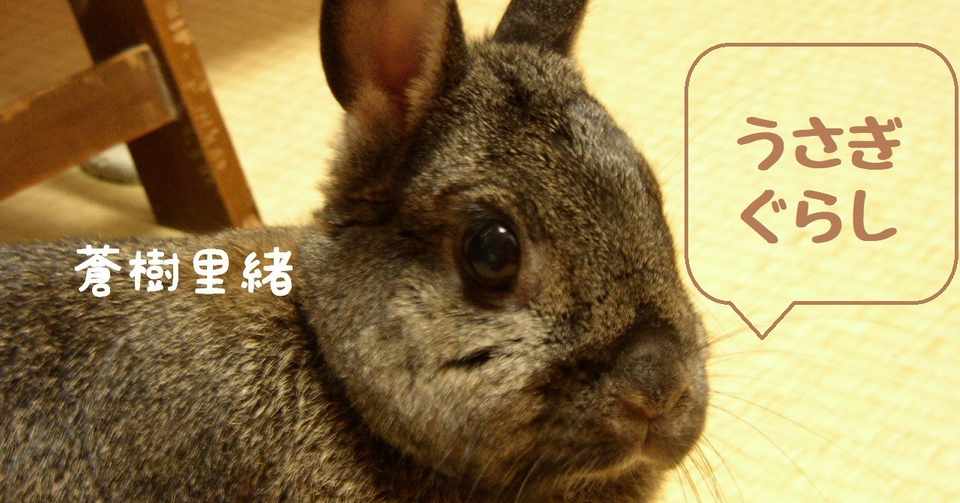 学校の冷房問題 動物も他人事じゃない 蒼樹里緒 Boothにてボイス
