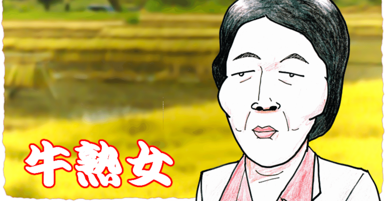 肥満　熟女 平成時代に全国取材敢行!? 平成日本・フツーの熟女改訂版全10人一挙公開｜ぼおりゅう♥りき