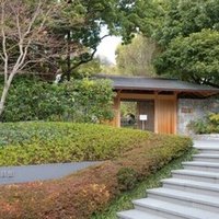 いけばな嵯峨御流 稽古日記＃112 三管筒 左旋／梅｜漱石(So_seki)