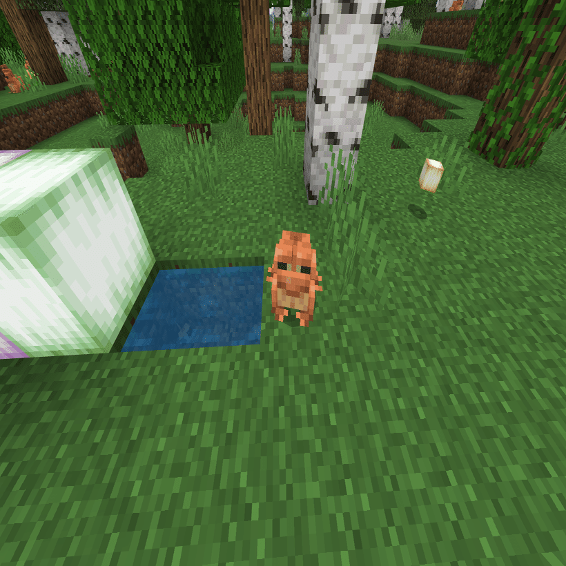 Minecraftにカエル登場 ちょこみんと Note