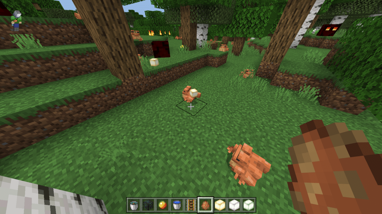 Minecraftにカエル登場 ちょこみんと Note Minecraftにカエル登場 ちょこみんと Note