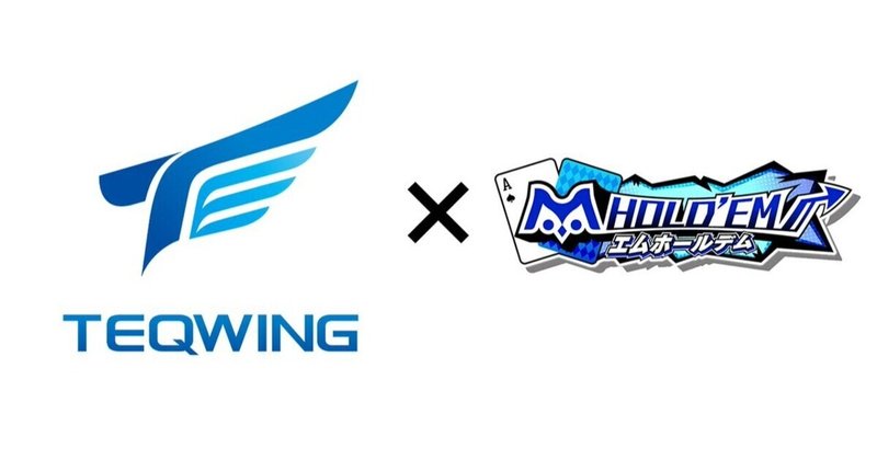 TEQWING エムホールデム部門設立！3つのポイント！