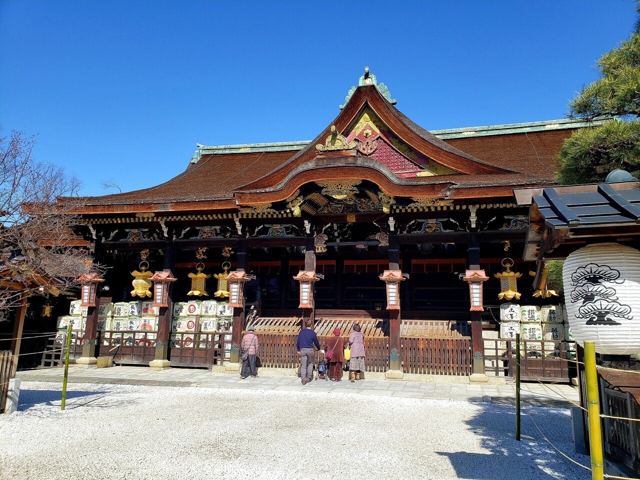 おもと最晃閣，殿様、月光冠、3本、春蘭，斑入り山野草