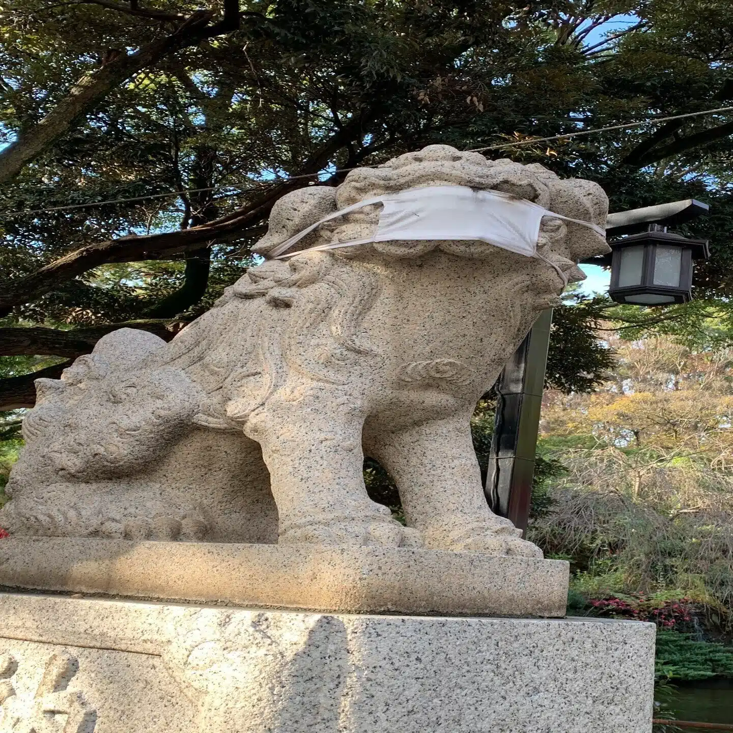 頑是