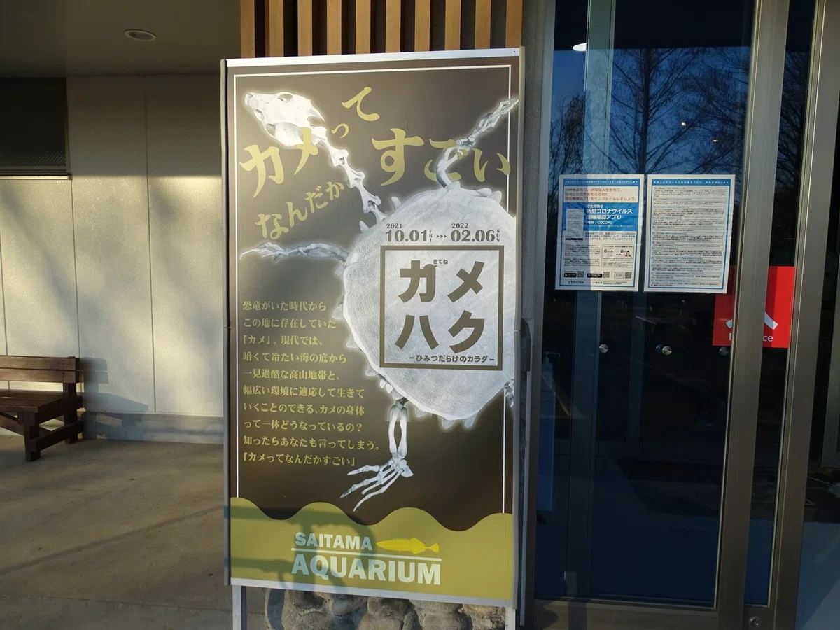 画像17