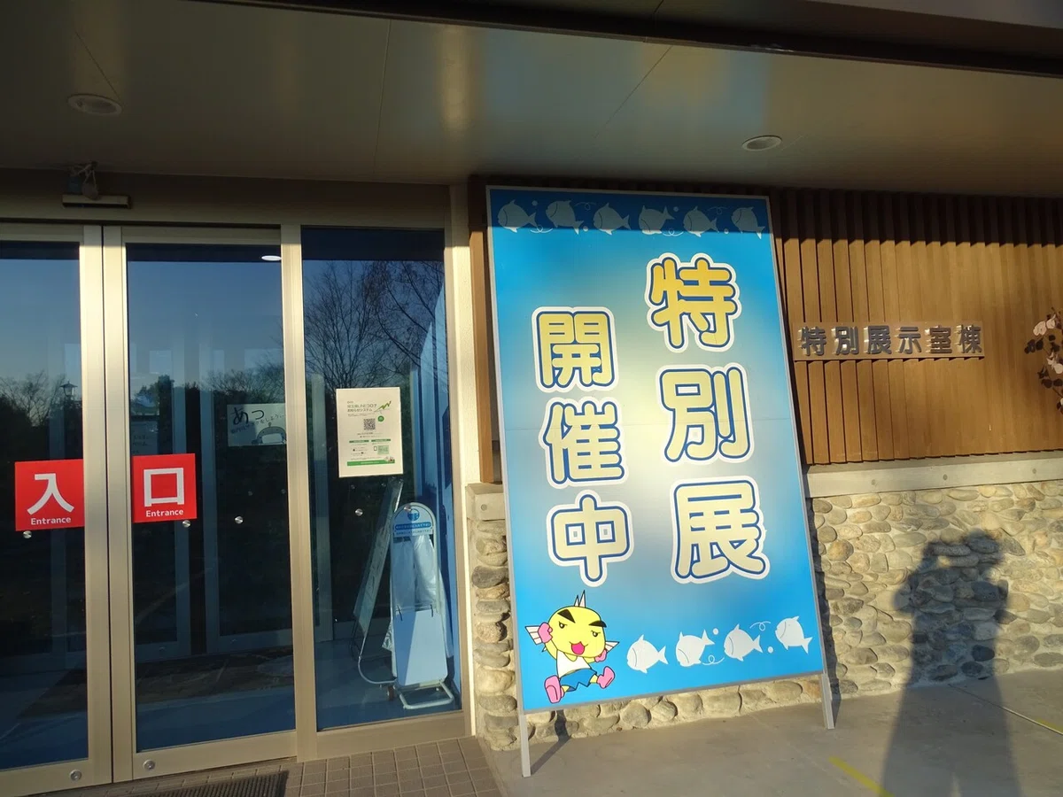 画像18