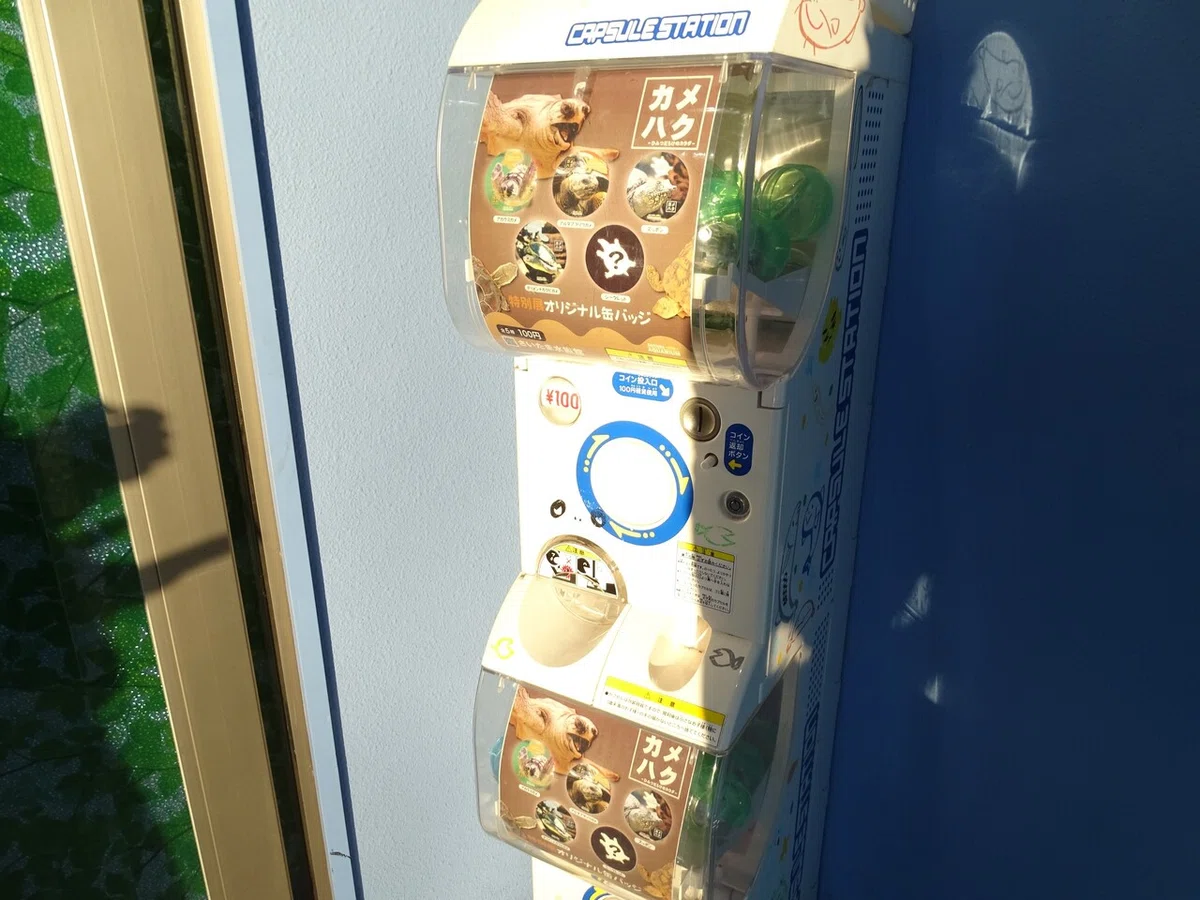 画像28
